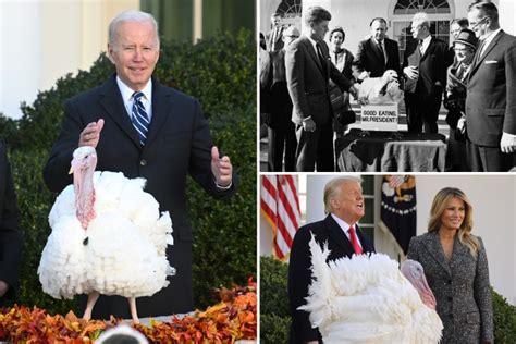 Inside the history of the White House's pardoning of the Thanksgiving turkey & odd debate over ...