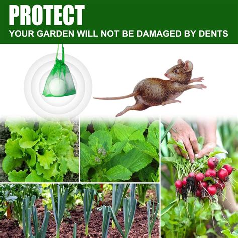 20PCS Best Way To Get Rid Of Mice in Attic Effective Peppermint Oil Rat ...