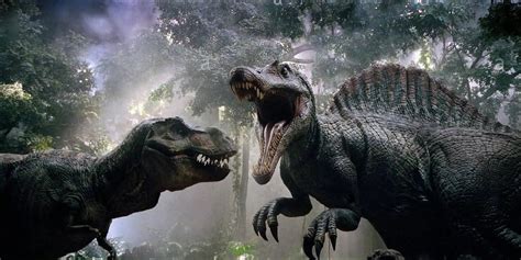 Allosaurus Vs T Rex Size Comparison Rex Adults Were A Significantly Larger Compared With