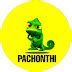 pachonthi official youtube