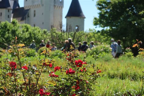 Diaporama F Te De La Rose Au Rivau Et Chinon En Jazz Fleurs Et