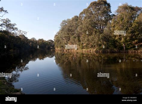 parramatta river paramatta park parramatta sydney new south wales ...