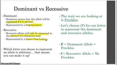 Explain The Difference Between Dominant And Recessive Alleles Harper Has French