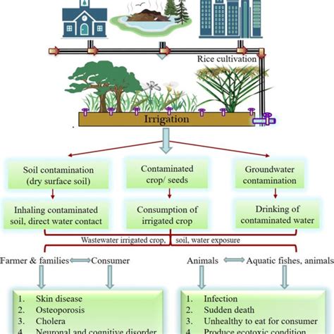 Pdf Wastewater Treatment And Reuse A Review Of Its Applications And