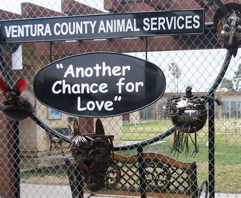 ventura animal shelter 3