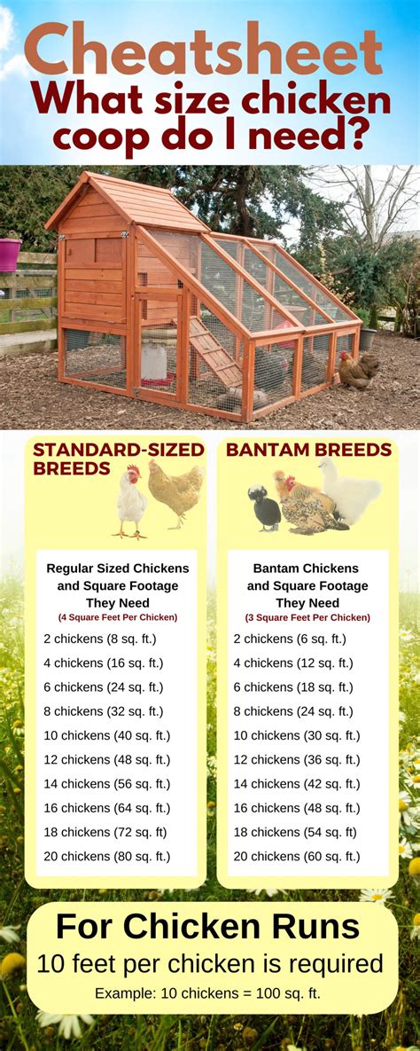 FREE 48 Chicken Coop Plan For Up To 16 Chickens