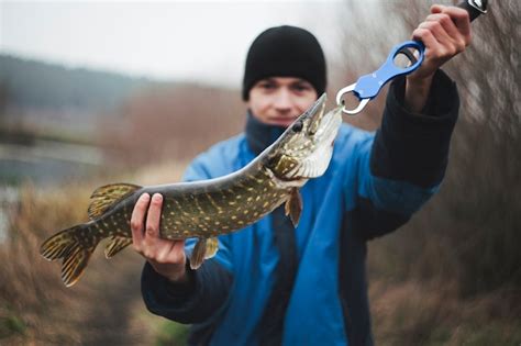 Rybak trzyma szczupaka ryba Zdjęcie Premium