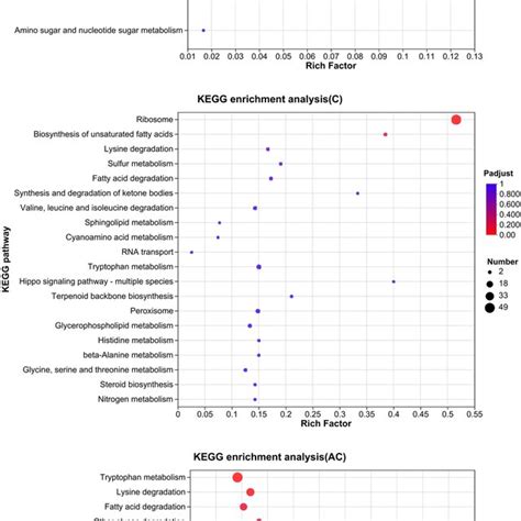 Bubble Diagram Of Go Enrichment Analysis Of T Harzianum T During The