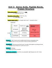 Biochem Study Guide Unit 2 Amino Acids Peptide Bonds Protein