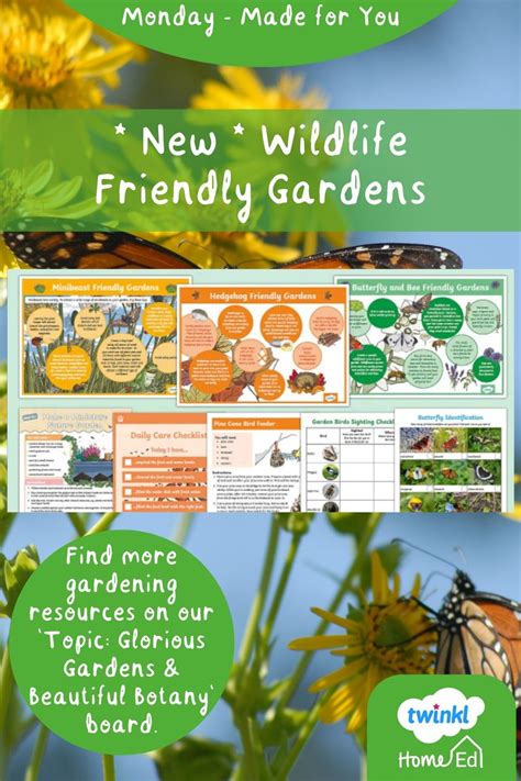 Wildlife Friendly Gardens Outdoor Education Bee Friendly Garden