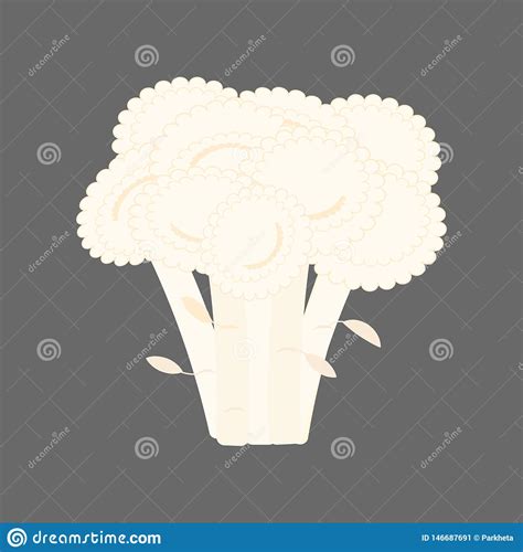 Ejemplo Vegetal De La Coliflor Ilustración del Vector Ilustración de