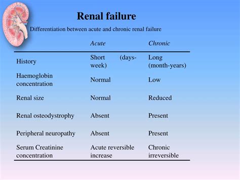 Ppt Approach To Acute Renal Failure Powerpoint Presentation Free Download Id 2919505