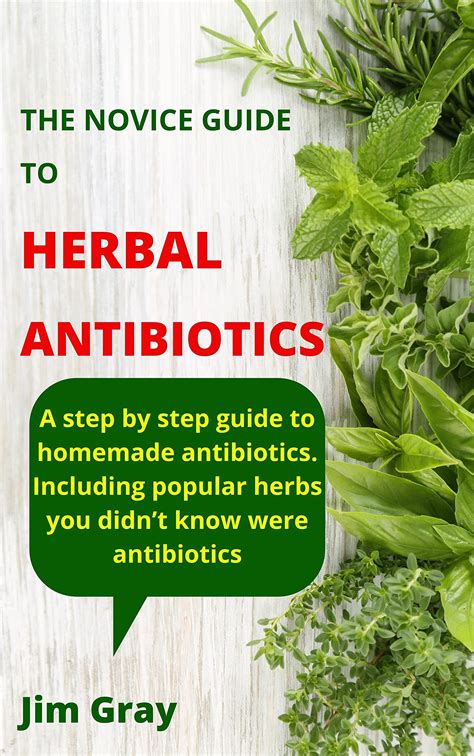 The Novice Guide To Herbal Antibiotics A Step By Step Guide To