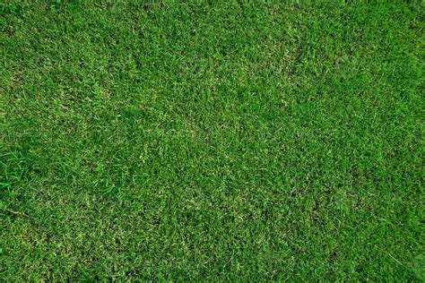 Football Field Grass