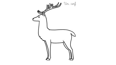 Coloriage Imprimer Un Cerf