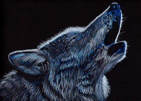 Howling Wolf Drawing In Pencil