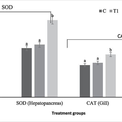 Superoxide dismutase SOD U mg protein¹ and catalase CAT mmol mg