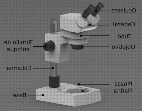 Mejores Microscopios Optico Cabezales Mes