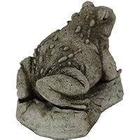 Amazon Toad Garden Statues Cement Frog Sculptures Cast Stone Frogs