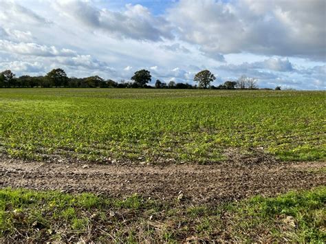 Fields West Of Ridgeway Copse Mr Ignavy Cc By Sa 2 0 Geograph