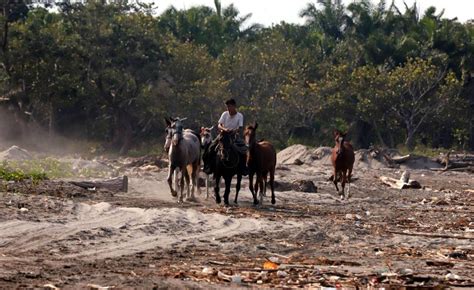 Imágenes del desastre basura de Guatemala vuelve a afectar playas de Omoa