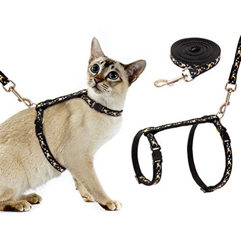 11 Best Escape Proof Cat Harnesses (2022 Reviews)