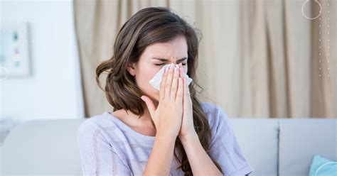 Understanding The Link Between Allergies And Asthma Physicians Premier Er