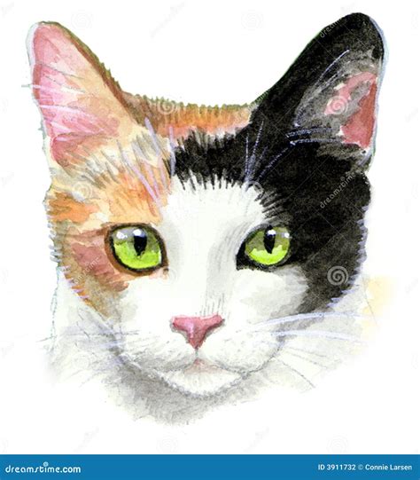 cartoon calico cat 1