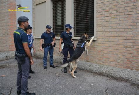 Ferrara continuano i controlli interforze in città per la prevenzione