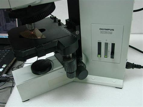 Used Olympus Bx Mf Trinocular Microscope For Sale At Tara Semic