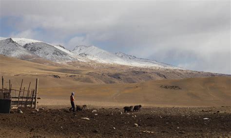 Adapting to new challenges in the Tian Shan Mountains | Stories | WWF