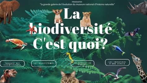 La biodiversité c est quoi