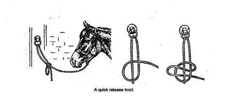 How To Tie A Slip Knot For Horses How To Tie A Slip Knot And Five