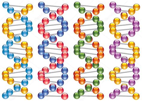 Set Of Colorful Dna Strands Stock Vector Dmstudio 6459798