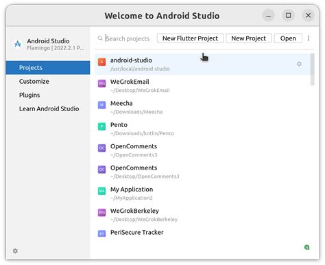 Installation Unable To Start Android Studio Flamingo On My Linux