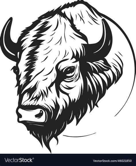 Buffalo head logo Royalty Free Vector Image - VectorStock