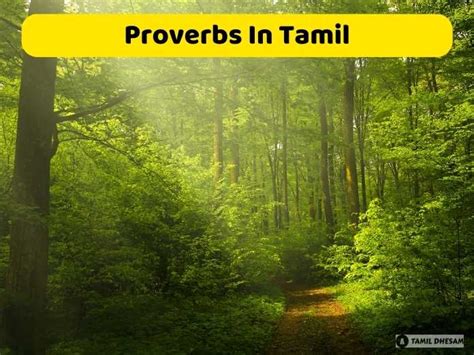 தமழ பழமழகள Proverbs In Tamil