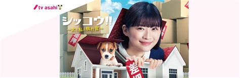 テレビ朝日ドラマ「シッコウ ～犬と私と執行官～」へ衣装提供致しました！ 大人かわいい事務服の企画・製造・販売｜株式会社ジョア