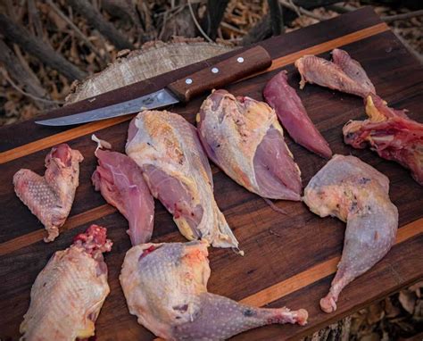 Cooking Wild Game Birds Unique Rare Bird