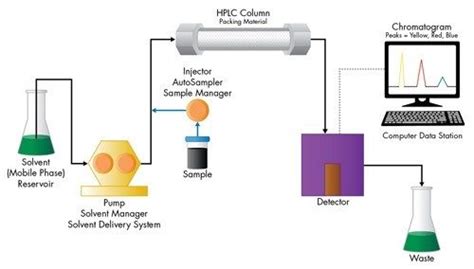 Hplc Instrument Diagram