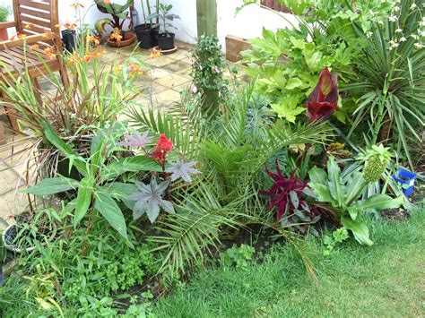 Flower Bed Tropical Garden Plants Garden