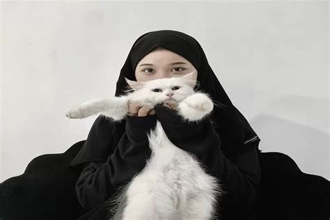 Lakukan Ini Saat Bertemu Kucing Agar Rezeki Lancar Dan Mendapat Pahala