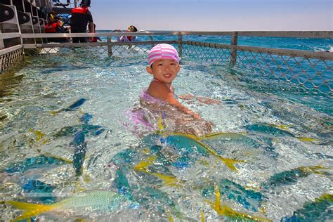 Cairns Great Barrier Reef Tours Non Swimmers Families Pontoon