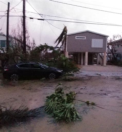 Palm Harbor Homeowners Happy to Weather Hurricane Irma