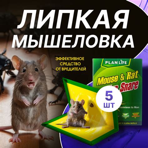 Мышеловки для мышей, 5 штук купить на OZON по низкой цене (875839070)