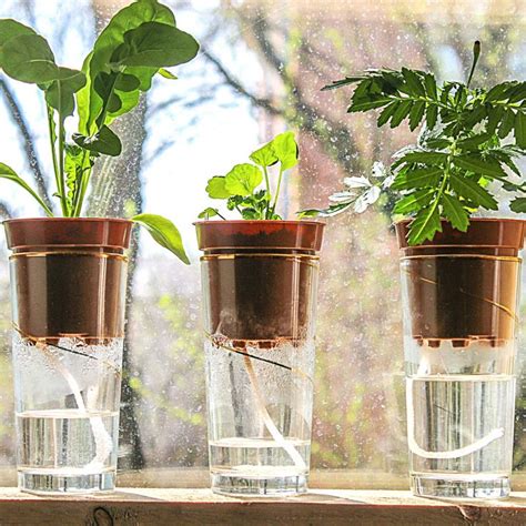 4 Brilliant Self Watering System For Pots That Make Gardening Easy The Not So Modern Housewife