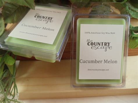 Cucumber Melon Scented 100 Soy Wax Melt Cool And Refreshing Etsy