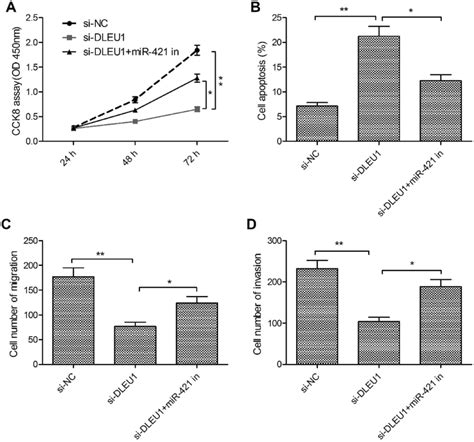 Mir 421 Inhibitor Reverses The Effects Of Dleu1 Knockdown In Glioma