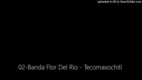 Banda Flor Del Rio Tecomaxochitl Youtube