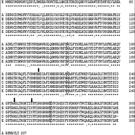 Multiple Sequence Alignment Of Conserved 1 2 Ctd Protein Domain Download Scientific Diagram